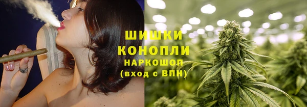 Альфа ПВП Новозыбков