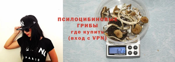 дурь Абинск