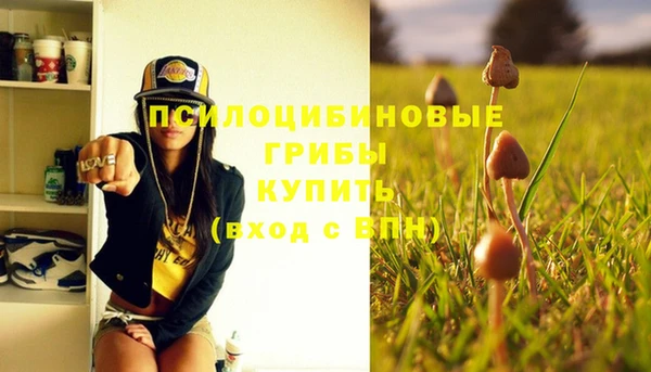 спайс Абаза